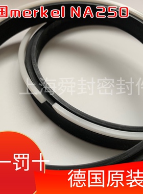 德国CFW麦克迈克Merkel密封圈NA250 140125 15 16 密封件假一罚十
