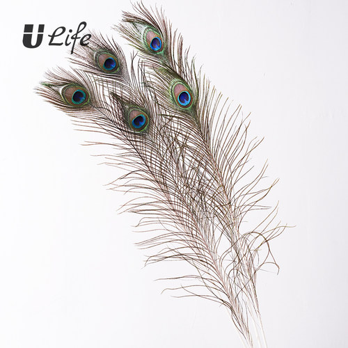 天然真孔雀羽毛翎尾大眼睛插花