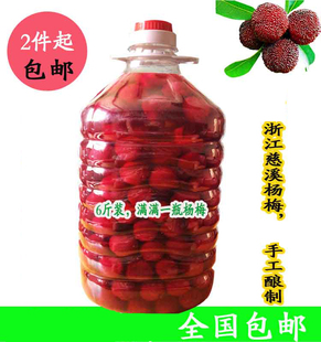 农家烧酒杨梅烧酒浙江宁波慈溪特产非仙居余姚包邮6斤装