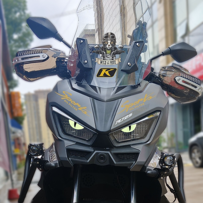 适用赛科龙RT250/150S改装饰贴纸