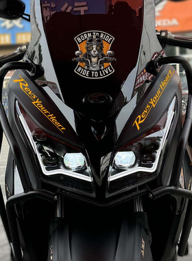 适用光阳赛艇250改装饰反光贴纸