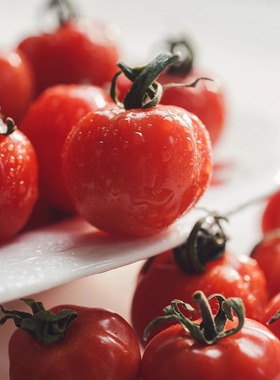 南拾壹| 阳光糖宝爆浆冰淇淋小番茄 超薄皮糯叽叽软糖宝宝番茄