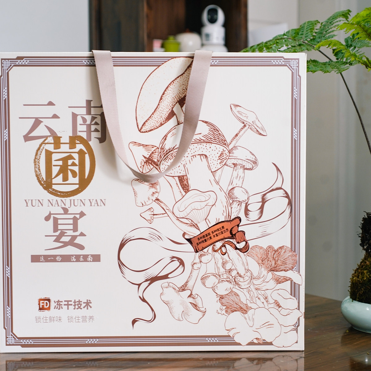 南拾|云南冻干菌宴礼盒 菌汤煲 大山鲜美云南干菌组合炖汤煲汤