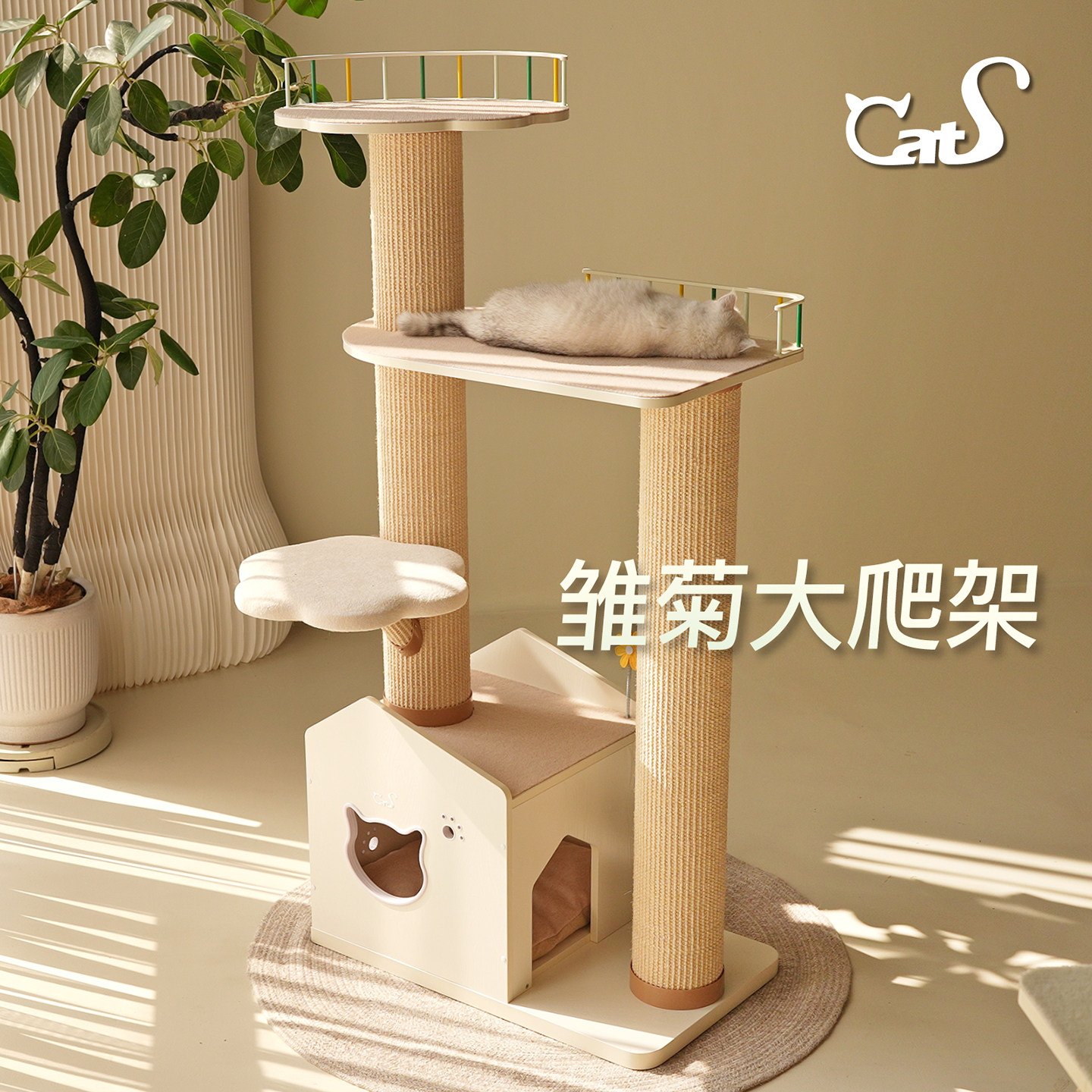 CatS猫家具 雏菊大爬架 超耐抓剑麻实木猫抓板大小体型猫通用