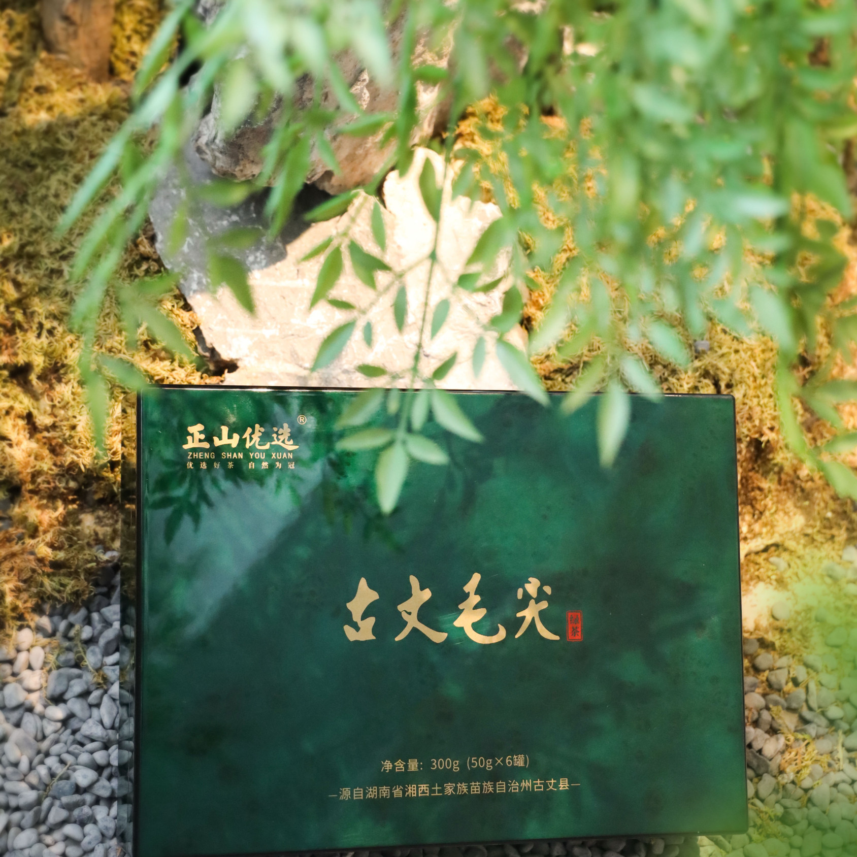 正山堂正山优选古丈毛尖甄选茗品 50g×6罐装 天然富硒 鲜香甘甜