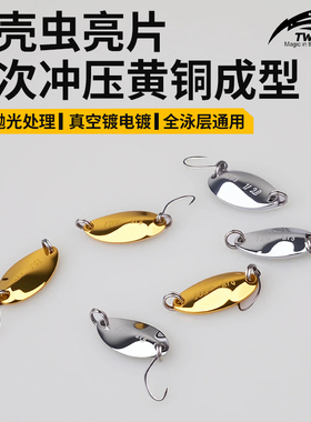 甲壳虫亮片路亚饵超远投全泳层通用马口军鱼翘嘴专用仿生鱼饵假饵