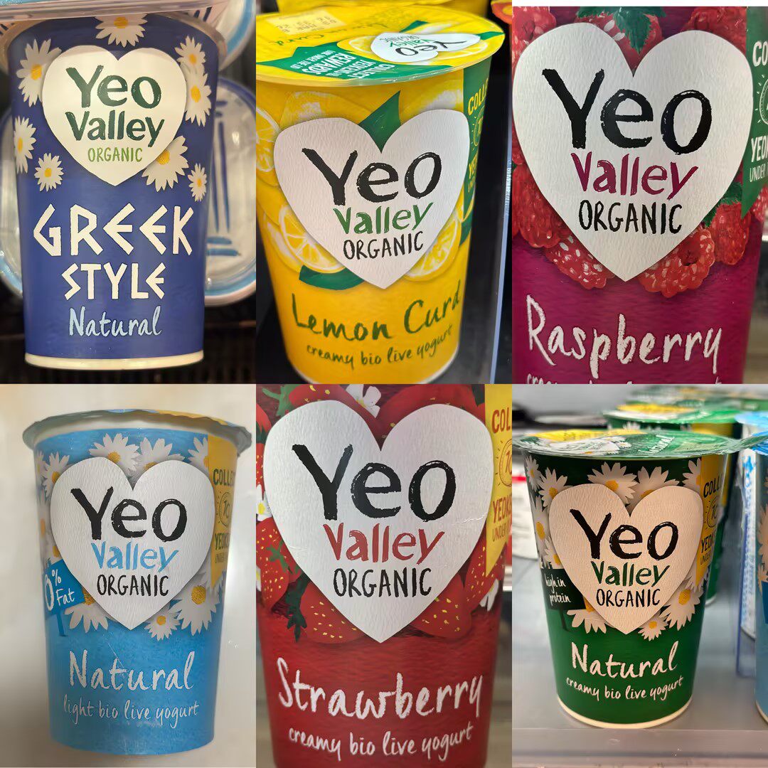 代购正品 英国进口 YEO VALLEY/优海莉有机乳酪/酸奶多种口味