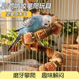 天然坚果玉米芯鹦鹉啃咬小太阳玩具和尚牡丹玄凤虎皮磨牙鸟笼站杆