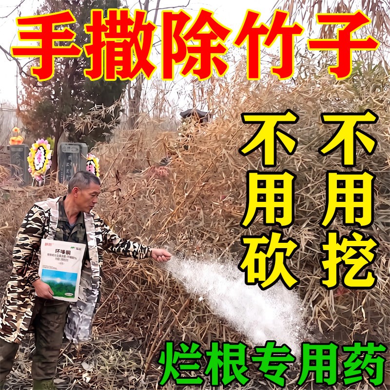 环嗪酮手撒除草烂根剂竹子烂根专除草剂