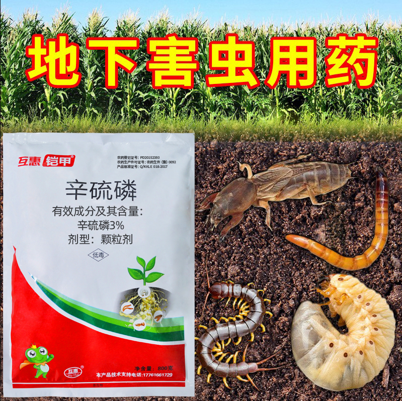 互惠辛硫磷辛硫磷蛴螬地老虎