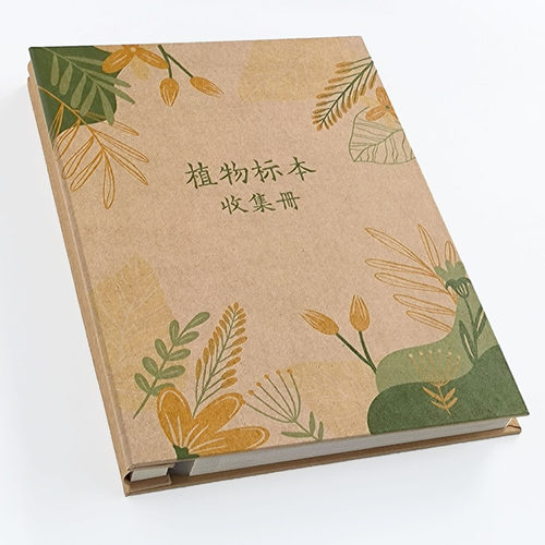 覆膜巧印像标本干花收集册树叶