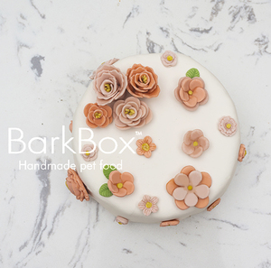 宠物蛋糕 裱花版 狗狗蛋糕 猫蛋糕 BarkBox