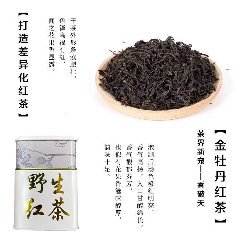 福安荒野红茶无农药可闷泡生态茶