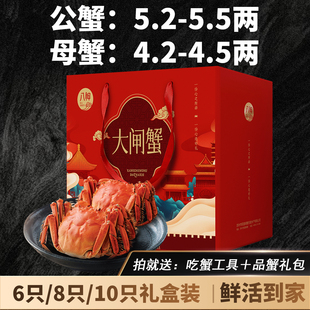 特大现货大闸蟹礼盒团购鲜活螃蟹旗舰公蟹5.2-5.5两母蟹4.2-4.5两