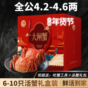 年货活蟹现货苏州精品大闸蟹礼盒团购特大公螃蟹4.2-4.6两鲜活