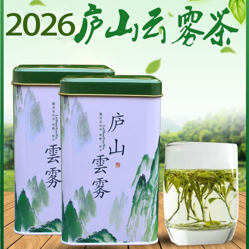 2026新茶庐山云雾茶春季耐泡图片