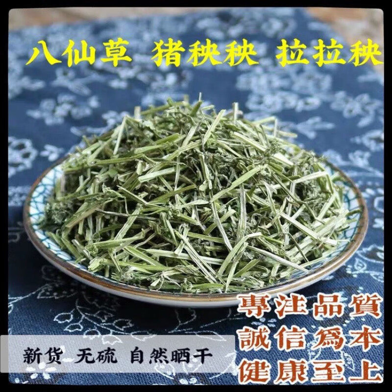 晒干猪秧秧拉拉藤锯锯藤血见愁八仙草细叶小茜草中药材野外现采