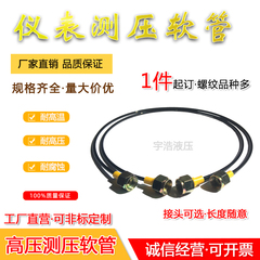 ống thuy luc Ống đo áp suất 63Mpa đường nối đồng hồ đo áp suất nối ống nối ống dầu thủy lực ống dầu thủy lực DN3 cụm ống đo áp suất cao dụng cụ đo áp suất bán ống xi lanh thủy lực may uon ong thuy luc