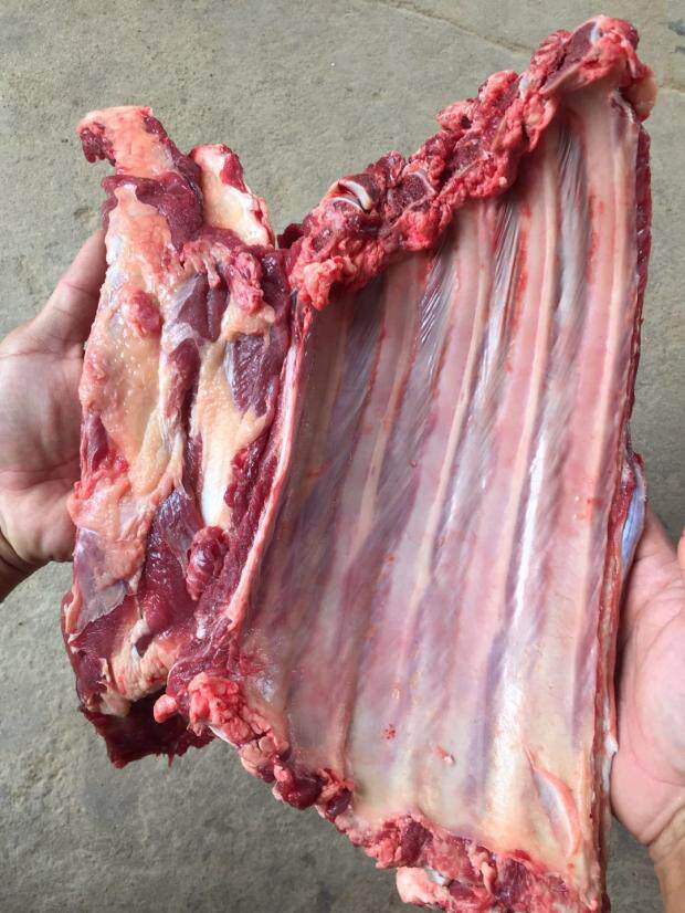 新鲜牛排 黄牛排骨 牛腩排 牛坑 排骨 绿色食品不注水 青草黄牛