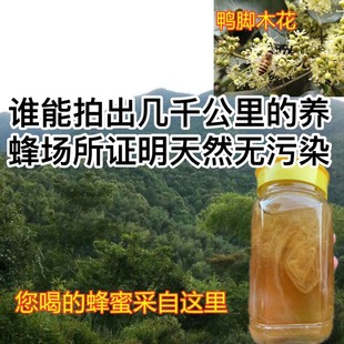 蜂蜜纯正天然农家自产野生礼盒士蜂百花老山冠生园龙眼鸭脚木冬蜜