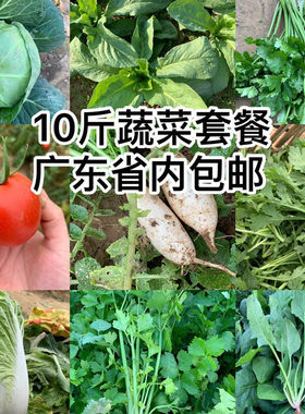 农家自种新鲜蔬菜时令生菜辣椒