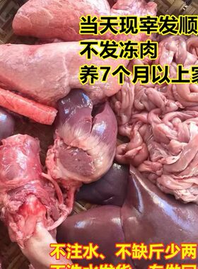 新鲜猪杂瘦肉冰鲜粉肠猪心猪舌