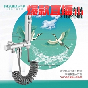 M201马桶伴侣高标电镀五年质保只换不修 水云雅