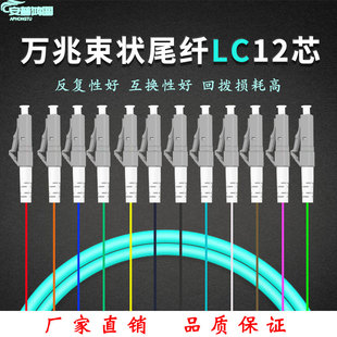 UPC多模万兆光纤跳线12芯12色OM3束状尾纤光纤线1.5米 ODF托盘