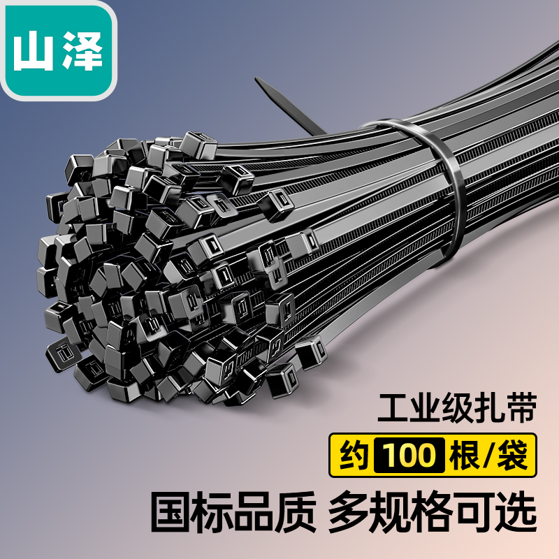 山泽 HZD-12自锁式尼龙扎带小号2.5*100mm 电脑主机装机 园艺 线缆桌面理线束线捆扎绑带 黑色 100根/包 - 封面