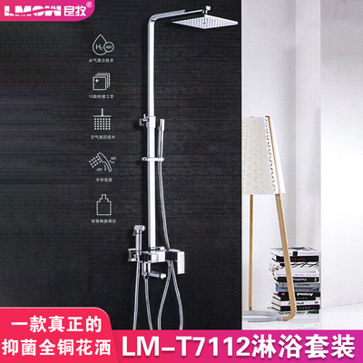 全铜喷头挂墙式淋浴花洒