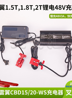 杭州雷翼电动叉车配件48V3A锂电池DZL482002原厂充电机器CBD15-WS