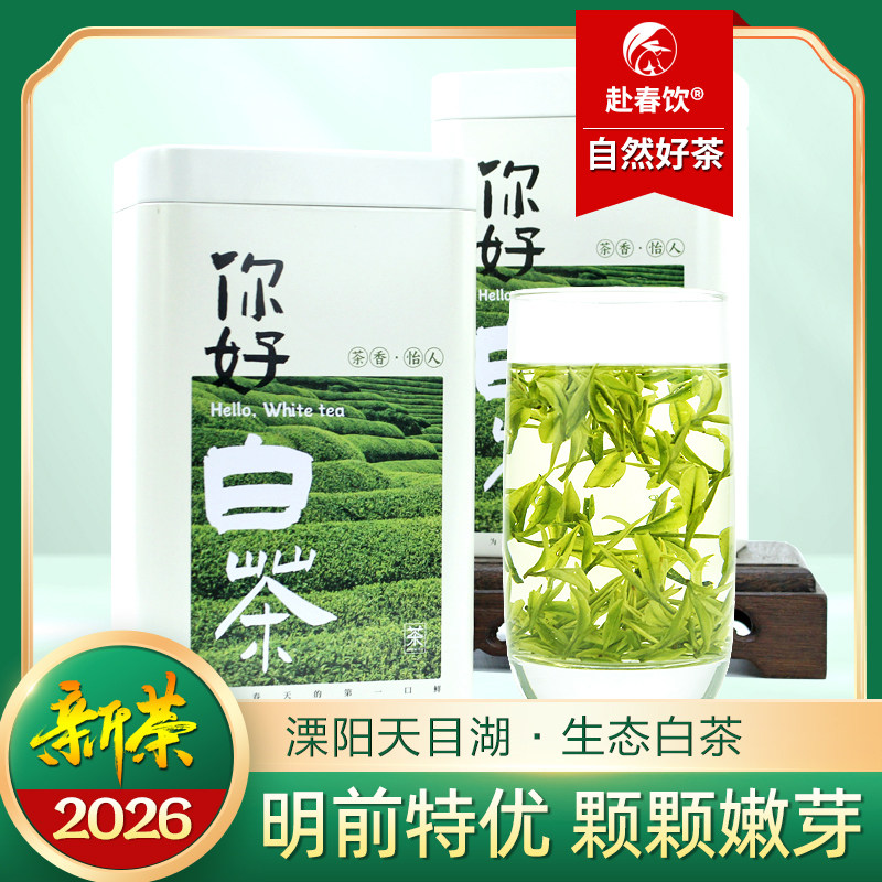 天目湖白茶明前特级125克大罐