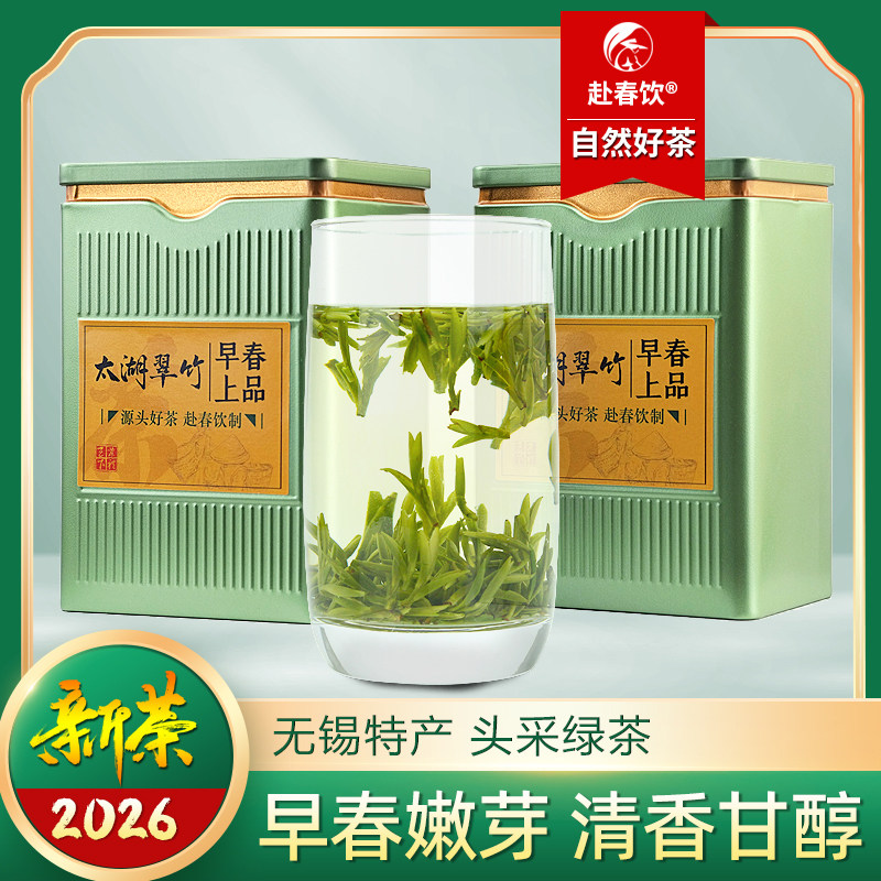 无锡特产茶太湖翠竹早春嫩芽