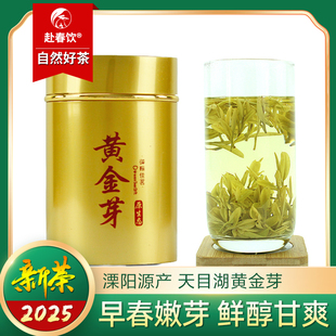 2025新茶 常州绿茶 溧阳天目湖黄金芽 高山早春嫩芽 优级 50克