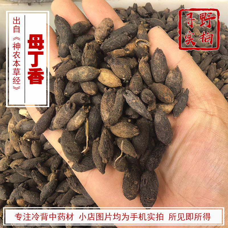 寻野实拍 药材 母丁香（鸡舌香 亭炅独生 雌丁香）香料产印尼