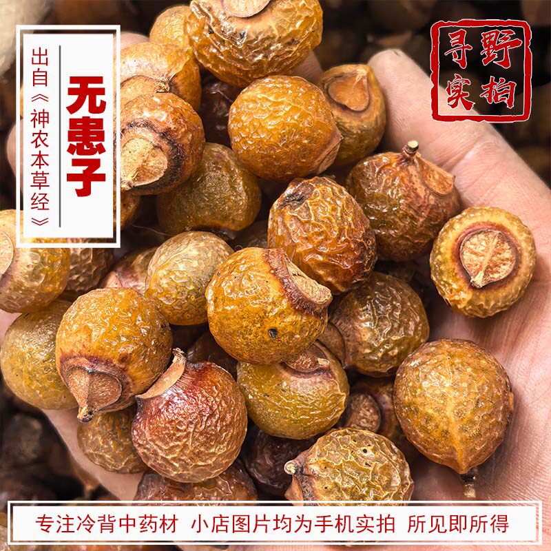 寻野实拍 中药材 无患子 整颗 果皮 果核 菩提子念珠佛珠原料