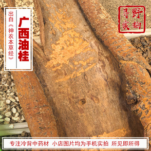 寻野实拍 中药材 老树 广西油桂 企边桂 油桐桂 紫油桂 挂去外层