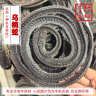 寻野实拍 药材 乌梢蛇 乌梢蛇 正品四川乌梢蛇干 无内脏整盘全开