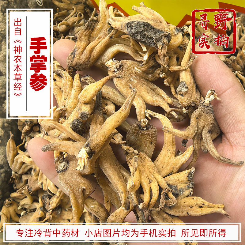寻野实拍 药材 手掌参（手参 藏三七 佛手参 手儿参阴阳参）西藏