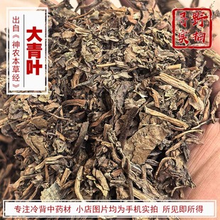 寻野实拍 药材 大青叶（蓝叶 蓝菜）菘蓝的干燥叶气微味微酸苦涩