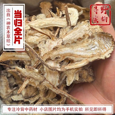 寻野实拍中药材藁本