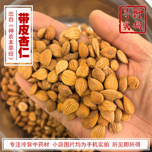 寻野实拍 中药材 内蒙古 带皮杏仁 生杏仁 苦杏仁 杏核仁杏梅仁