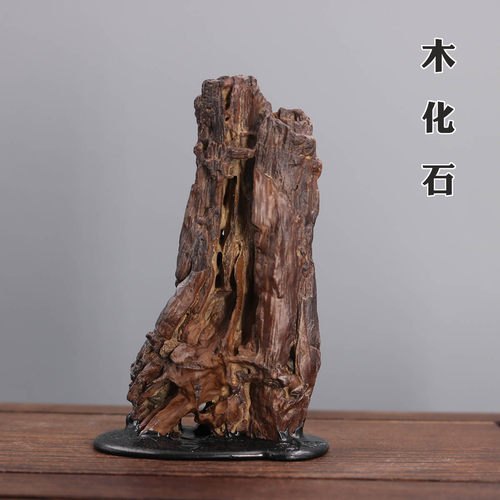 新疆纯天然木化石原石硅化木戈壁奇石植物树化石 石头摆件手把件
