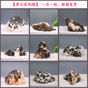 新疆戈壁石黑白花玛瑙风凌石砺石太湖石 鱼缸石头造景石盆景配石