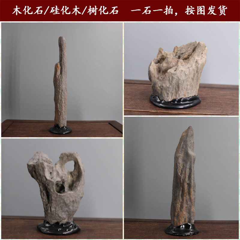 新疆纯天然木化石原石风凌硅化木 树化玉树化石造景摆件手把件