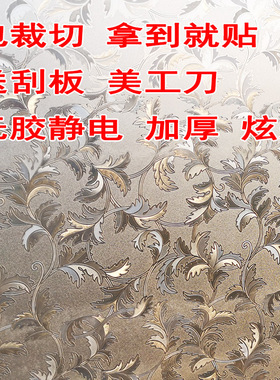 无胶窗户纸遮挡玻璃贴膜静电磨砂