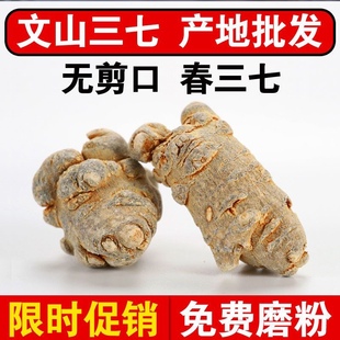 正宗文山滑头三七云南文山三七粉无剪口春三七可磨粉三七头整个