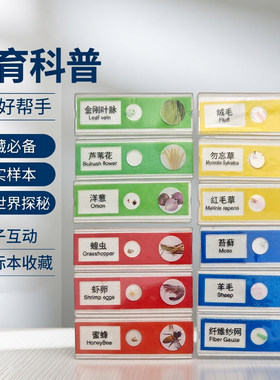显微镜生物切片标本细胞载玻片