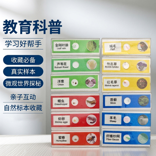 显微镜标本生物切片儿童中小学生教学观察动物植物细胞载玻片塑料