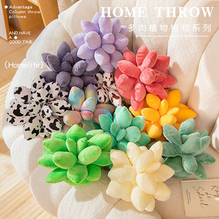 跨境创意彩色多肉沙发抱枕可爱多肉植物毛绒玩具公仔玩偶摆生礼物
